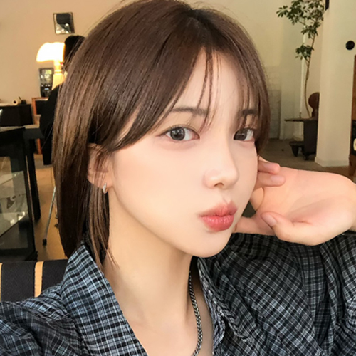 모델